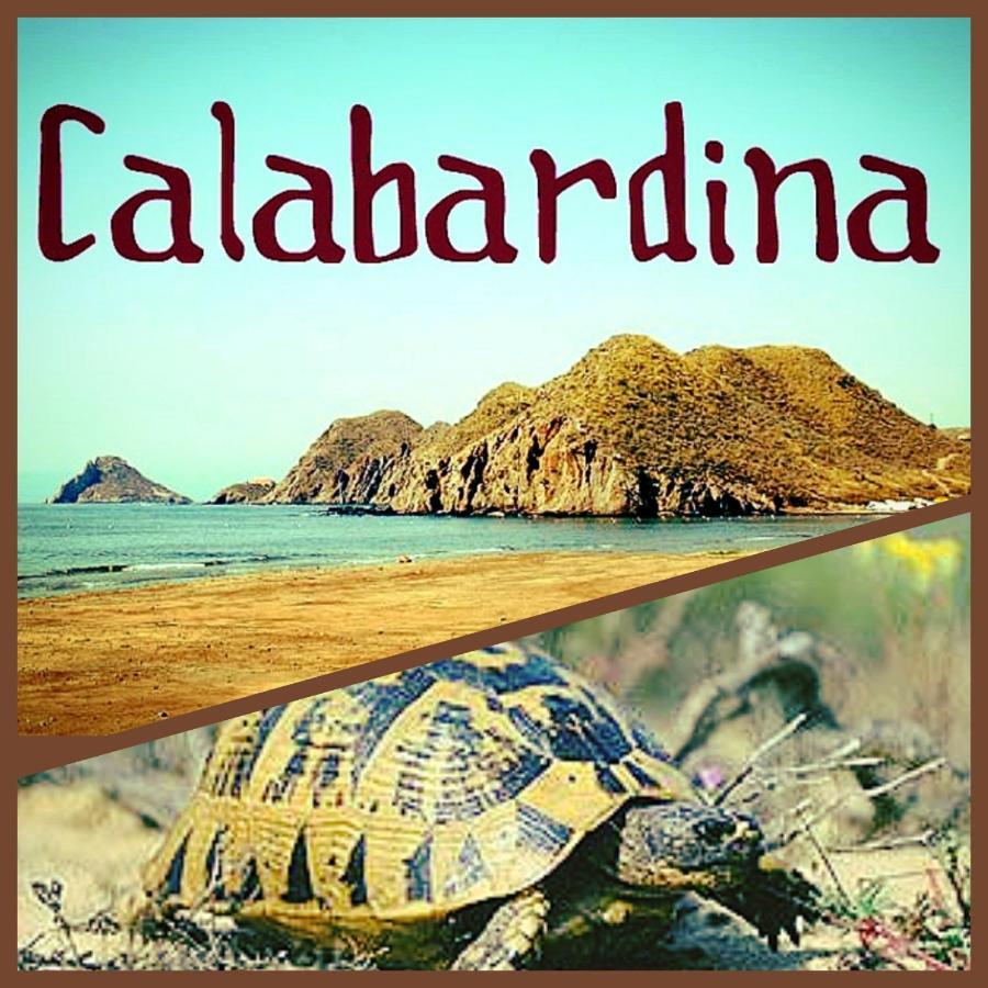 Appartamento Residencia Tortuga Mora Calabardina Esterno foto